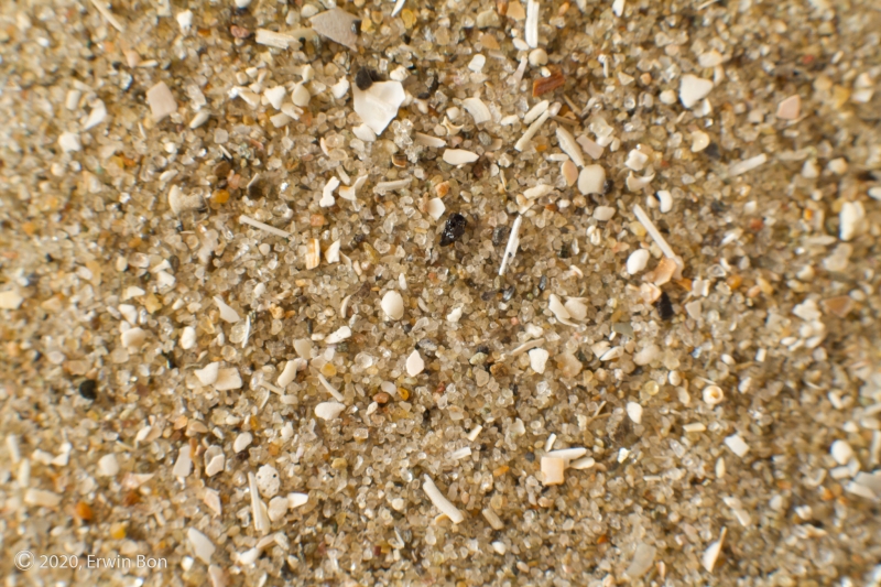 Nederland, Noord-Holland, IJmuiden